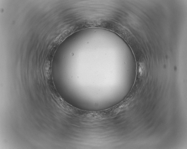 X0000060270867200511112044