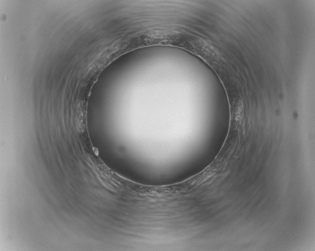 X0000060270868200511112044