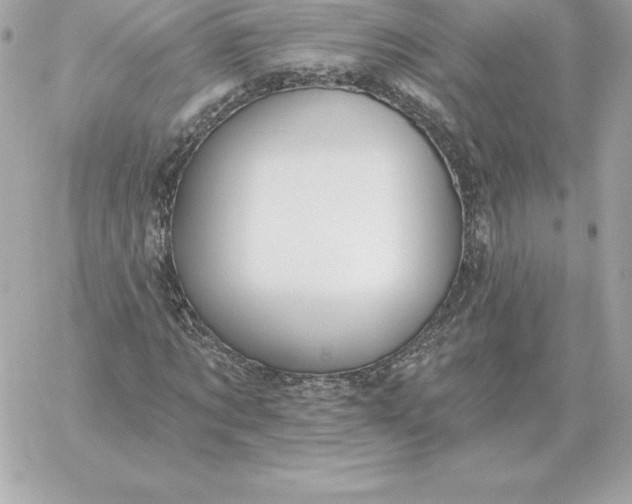 X0000060270869200511112044