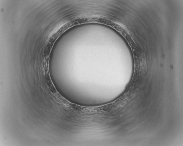 X0000060270871200511112044