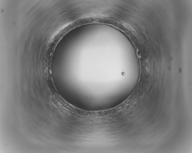 X0000060270872200511112044