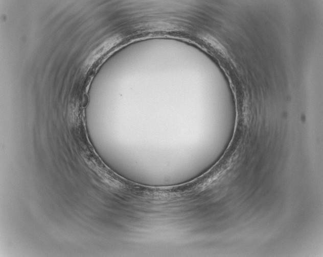 X0000060270873200511112044