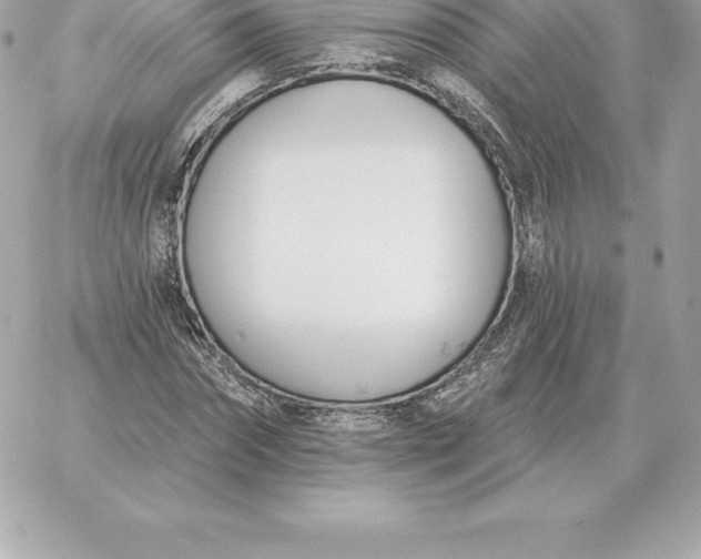 X0000060270874200511112044