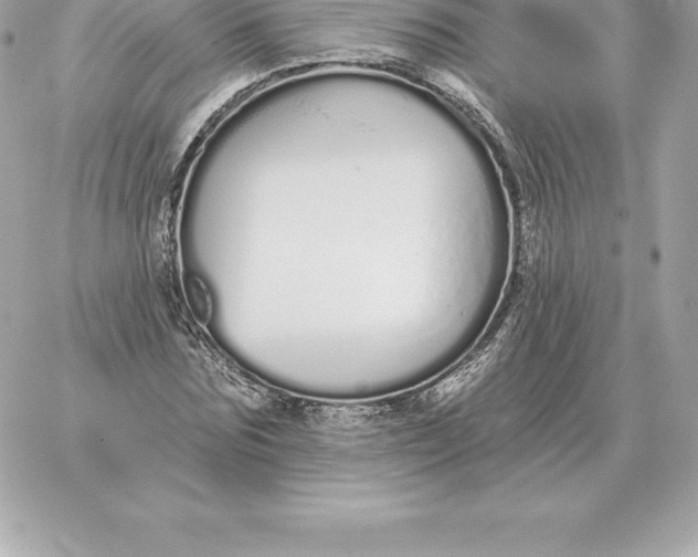 X0000060270875200511112044