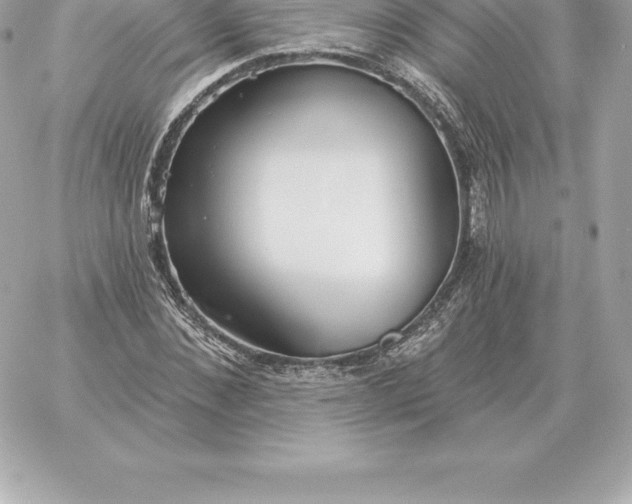 X0000060270876200511112044