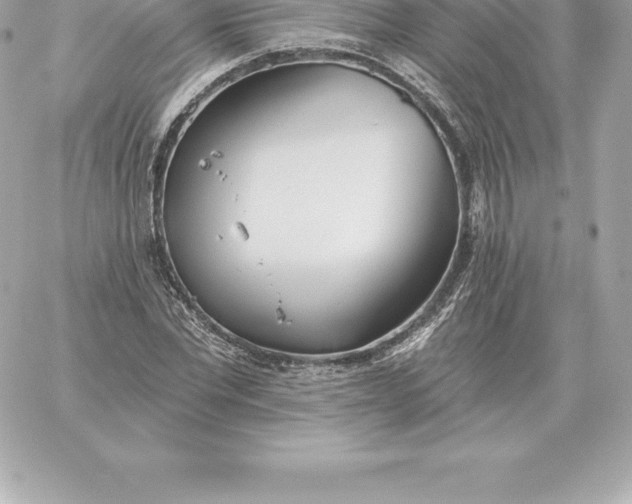 X0000060270877200511112044