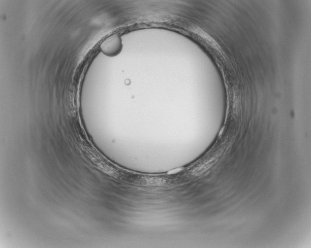 X0000060270878200511112044