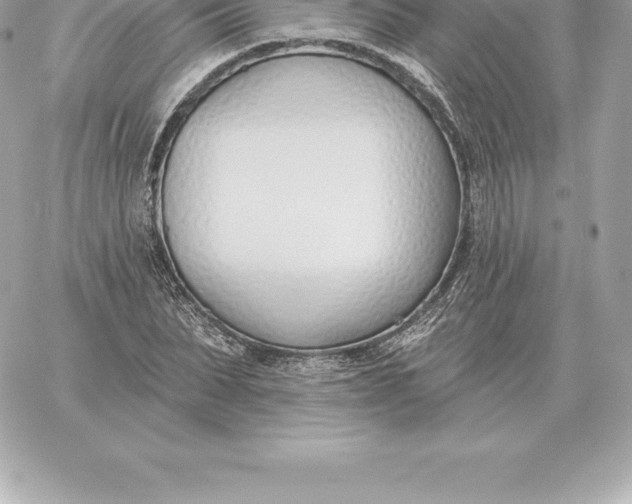 X0000060270879200511112044