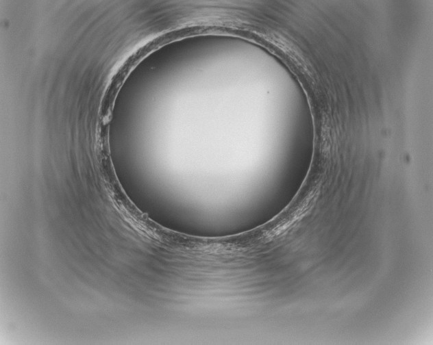 X0000060270880200511112044