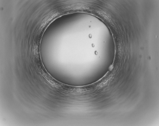 X0000060270881200511112044