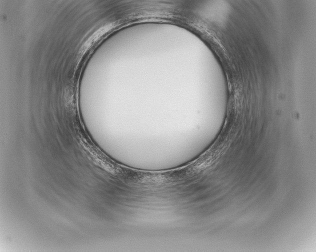 X0000060270882200511112044