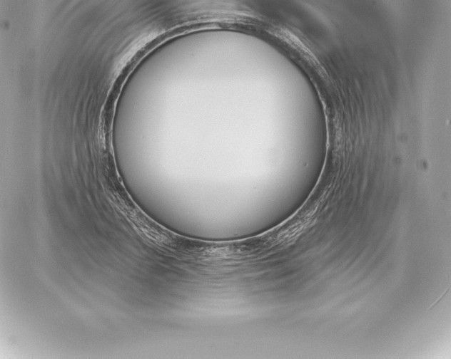 X0000060270883200511112044