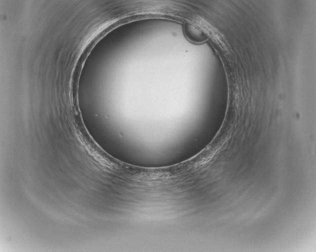 X0000060270884200511112044