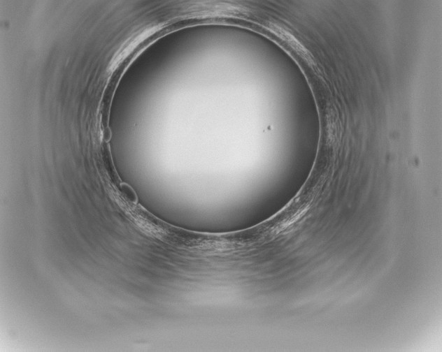 X0000060270885200511112044