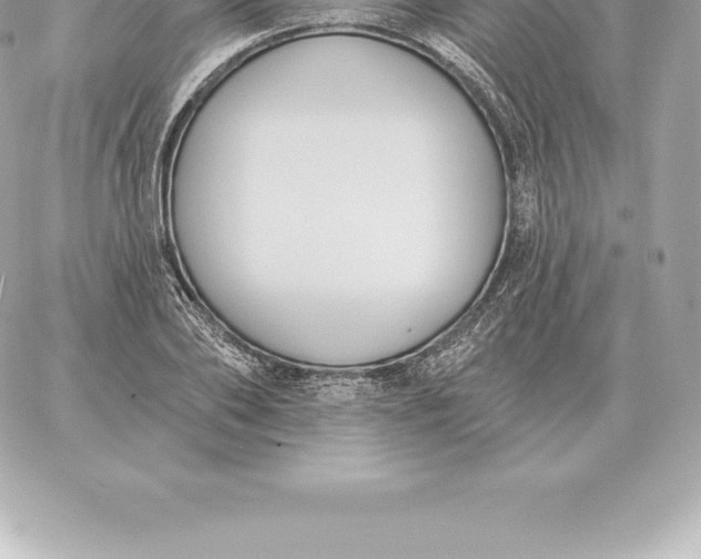 X0000060270886200511112044