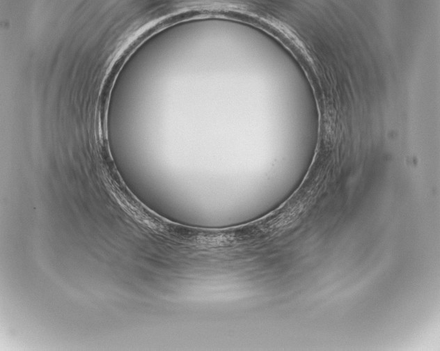 X0000060270887200511112044