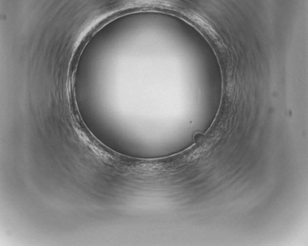 X0000060270888200511112044