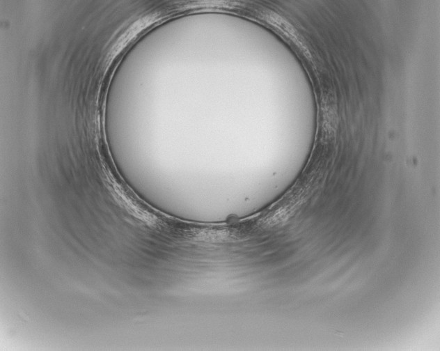 X0000060270890200511112044