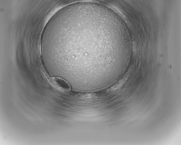 X0000060270891200511112044