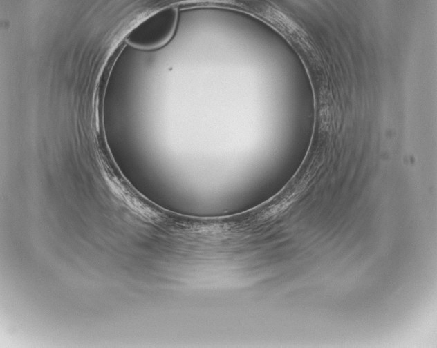 X0000060270892200511112044