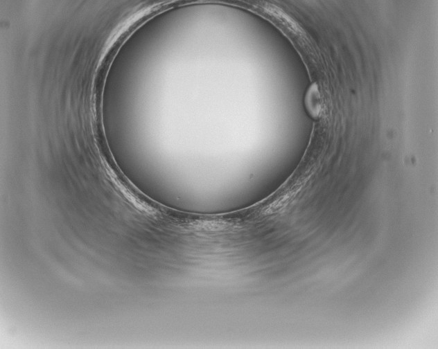 X0000060270894200511112044