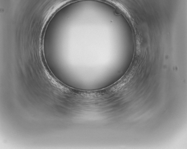 X0000060270895200511112044