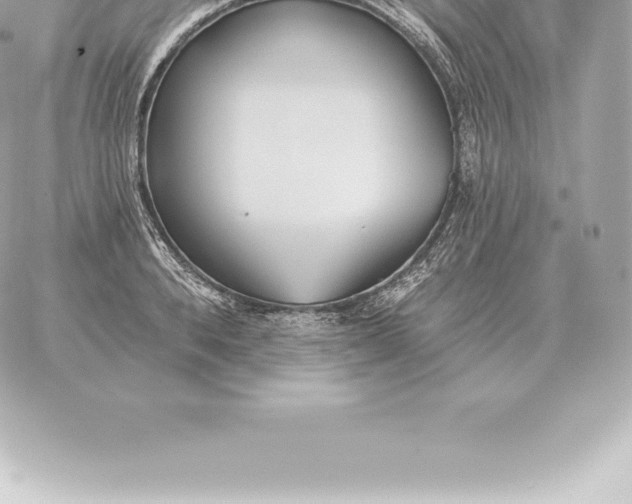 X0000060270896200511112044