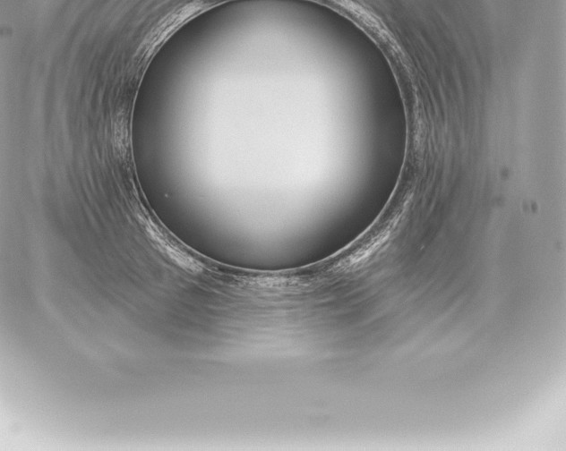 X0000060270897200511112044