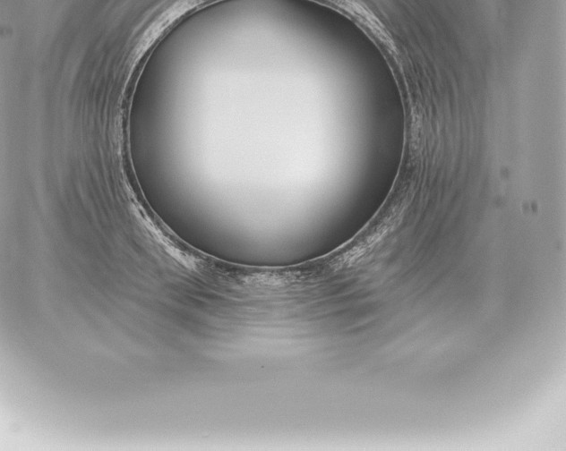 X0000060270898200511112044