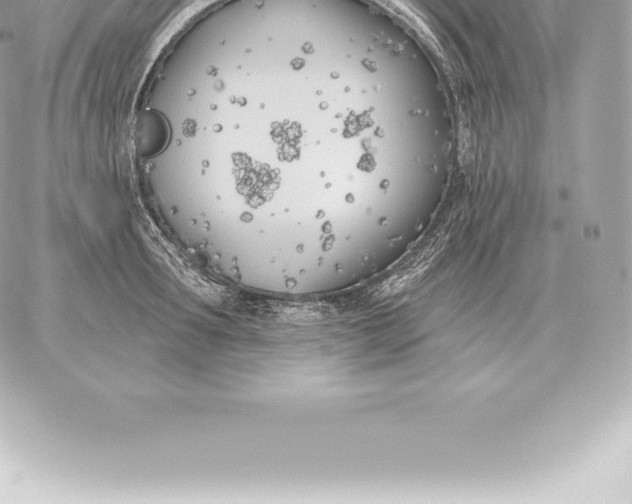 X0000060270899200511112044