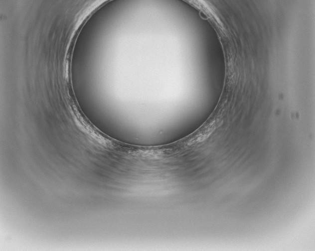 X0000060270900200511112044