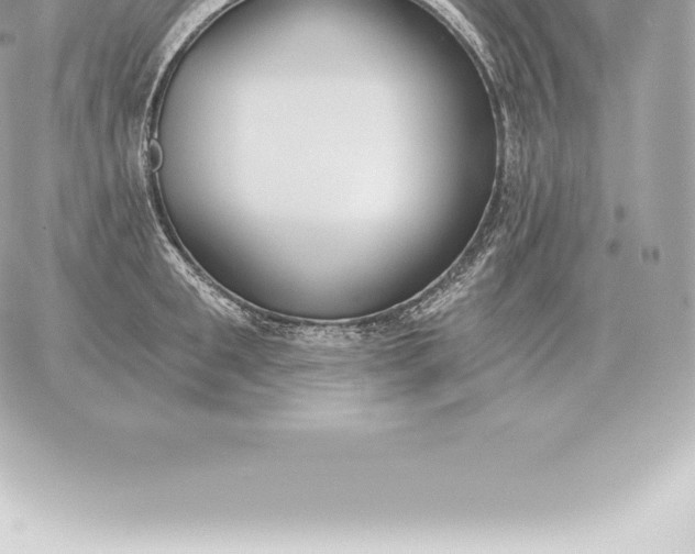 X0000060270901200511112044