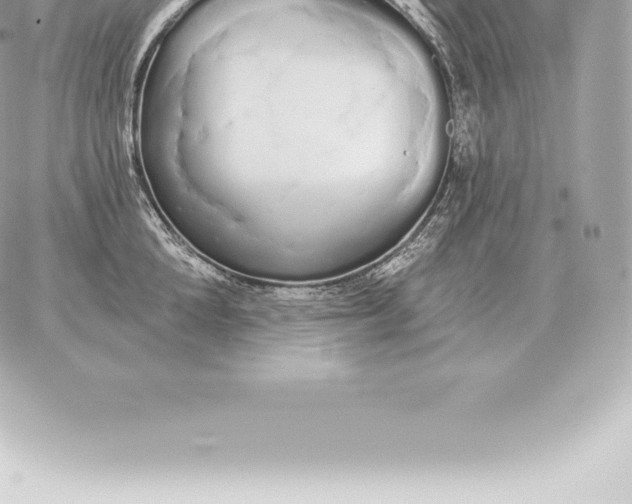 X0000060270904200511112044