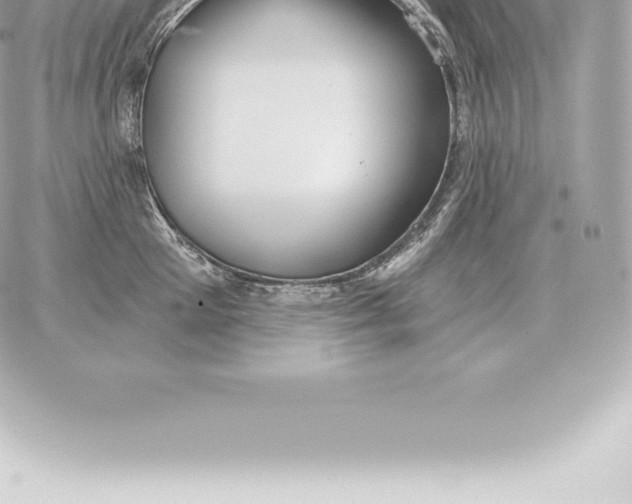 X0000060270905200511112044