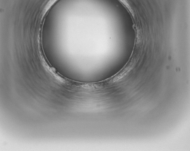 X0000060270906200511112044