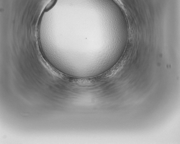 X0000060270907200511112044