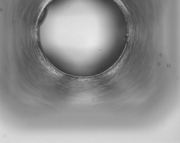 X0000060270908200511112044