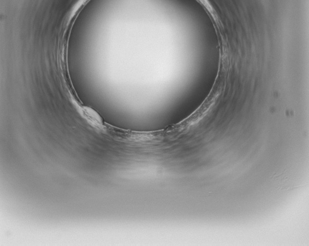 X0000060270909200511112044