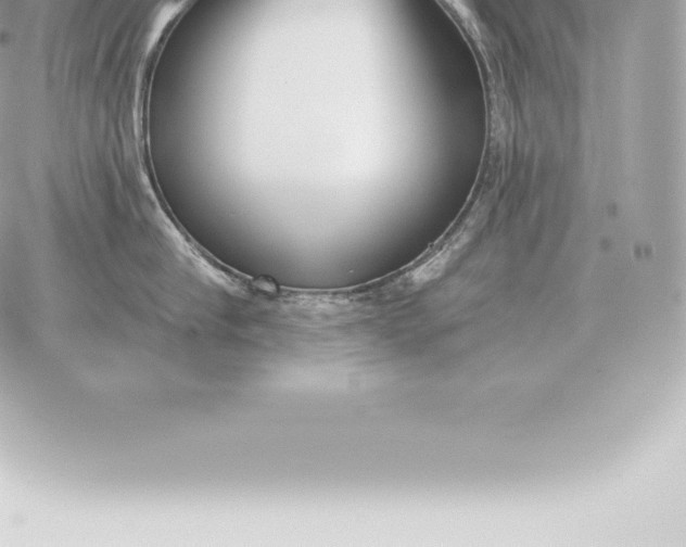 X0000060270910200511112044