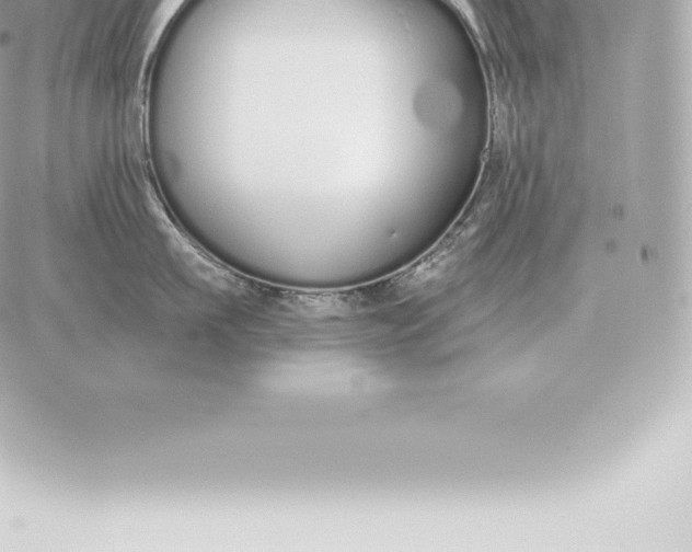 X0000060270911200511112044