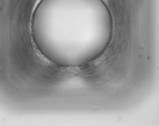 X0000060270912200511112044