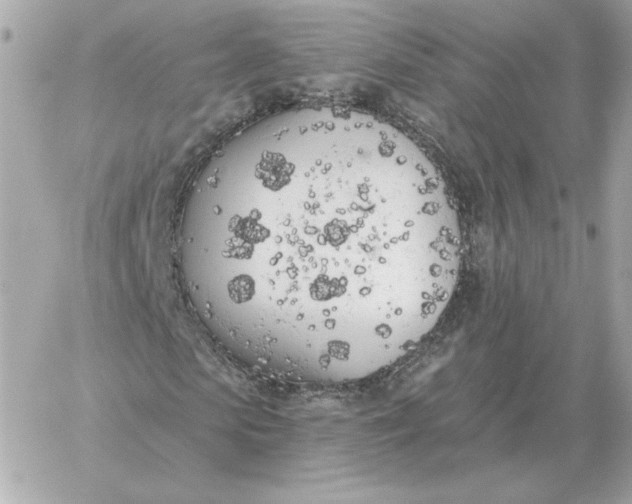 X0000060270913200511112043