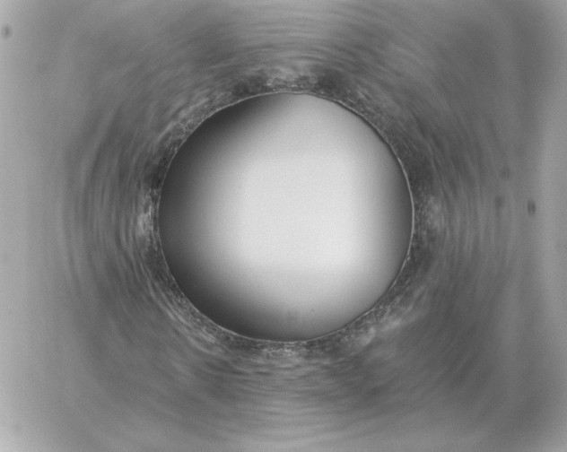 X0000060270914200511112043