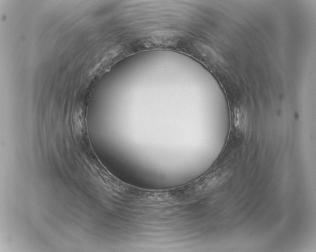 X0000060270915200511112043