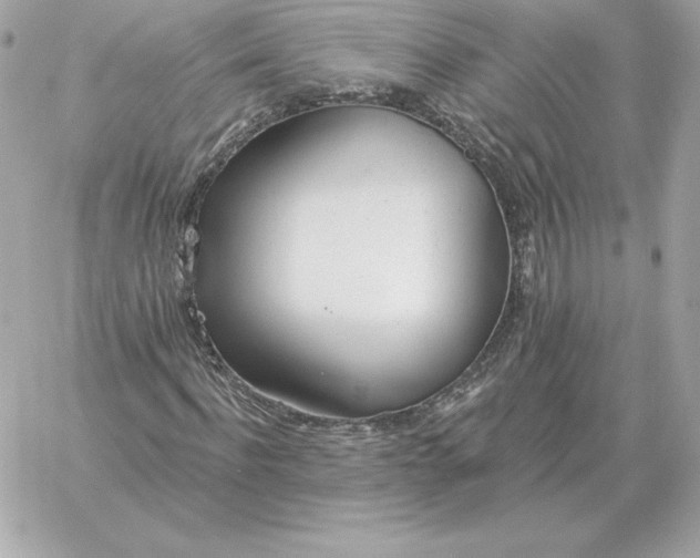 X0000060270916200511112043