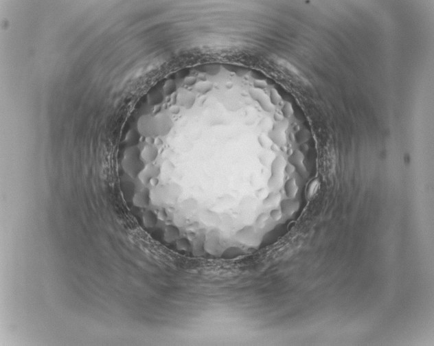 X0000060270917200511112043