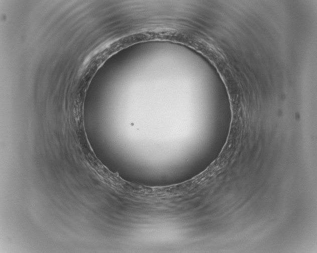 X0000060270920200511112043