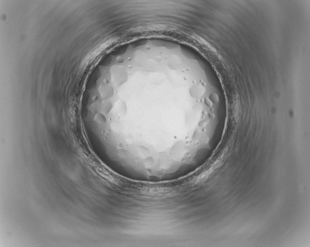 X0000060270921200511112043