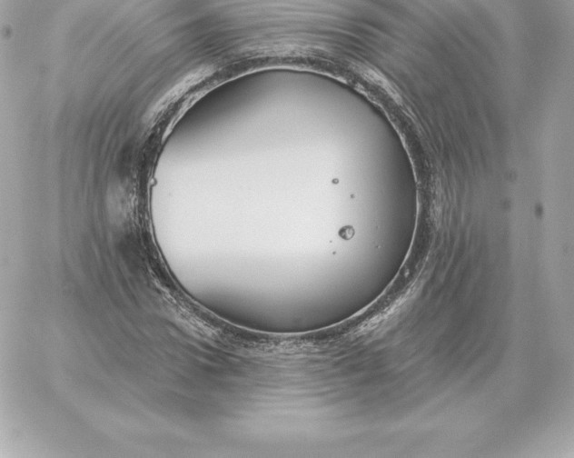 X0000060270922200511112043