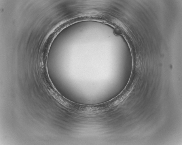 X0000060270923200511112043